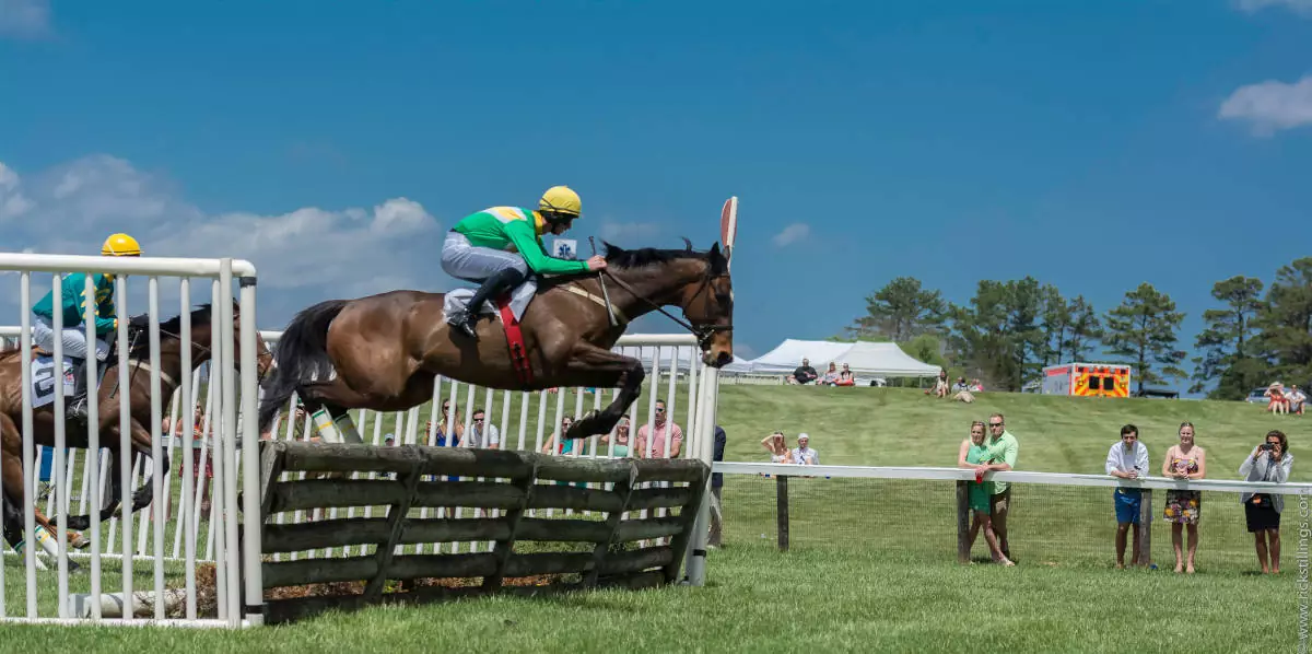 Horse jumping during a race at Foxfield