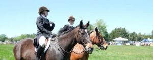 Two horses with riders standing next to one another at Foxfield