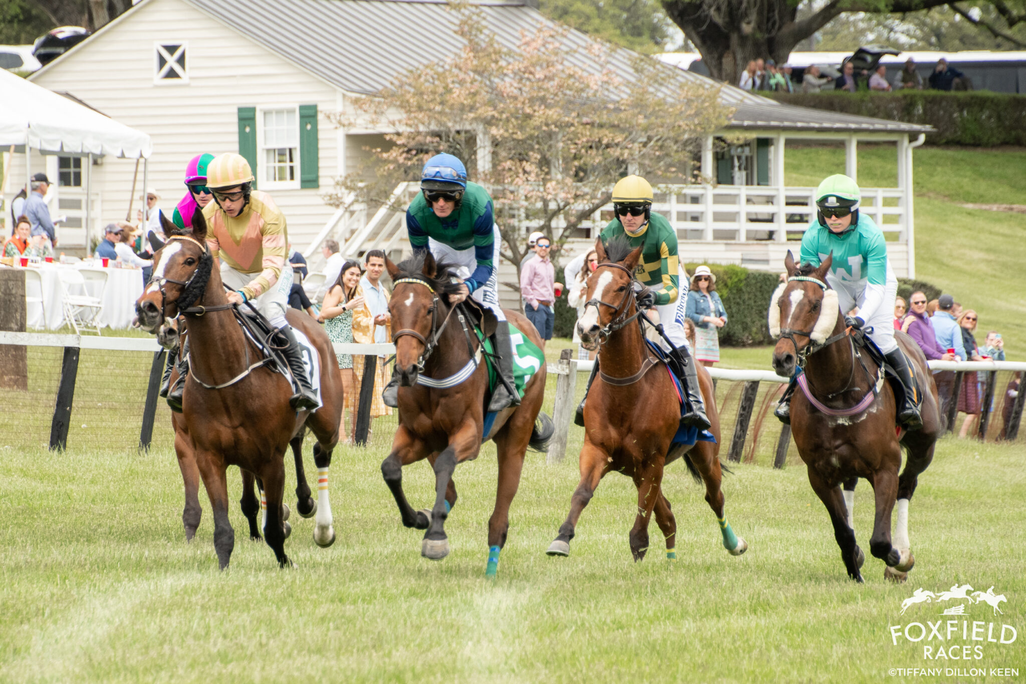 Foxfield Races Steeplechase Racing in the Heart of Virginia