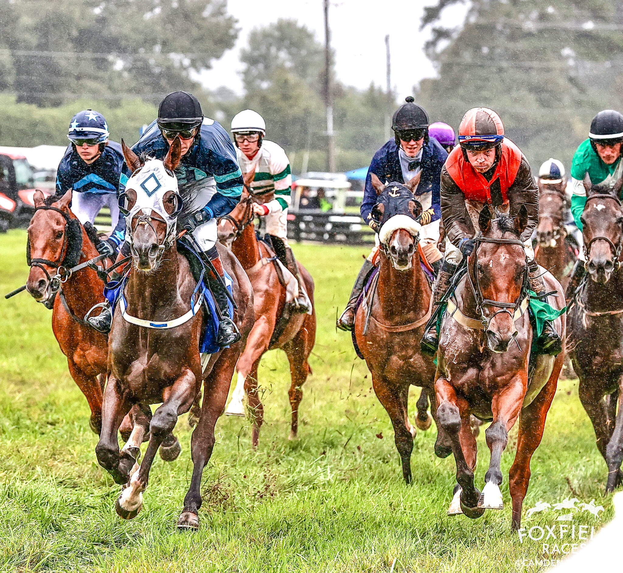 The Foxfield Spring Races Foxfield Races